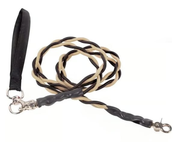 🔥🐕Double Bungee Leash - 1st step training tool