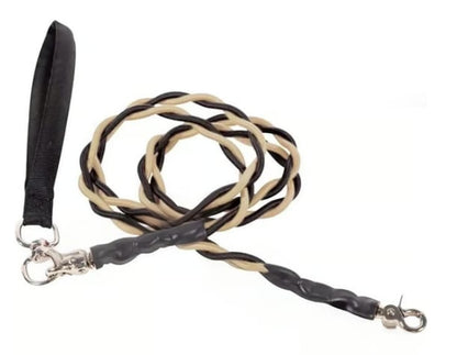 🔥🐕Double Bungee Leash - 1st step training tool