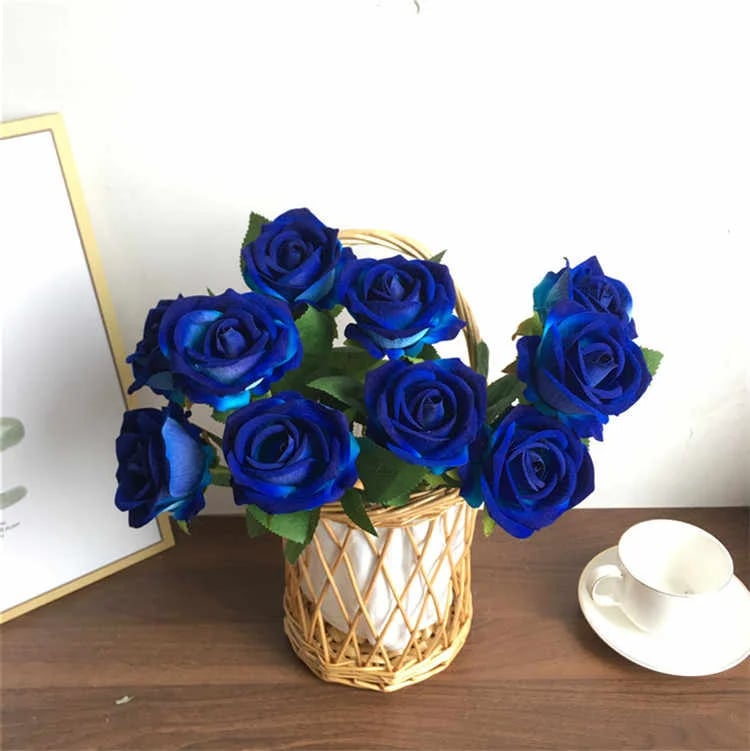 💙BLUE ENCHANTRESS ROSE SEEDS✨